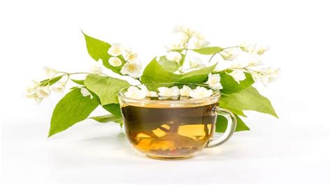 Jasmine tea is a famous tea made from green tea leaves that are scented with jasmine flowers. You Too Can Blast Belly Fat with Jasmine Tea
