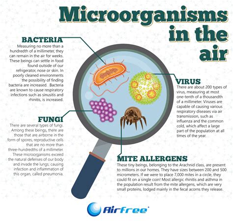 Micro Organisms In The Air Airfree Usa
