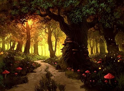 Night Path Images Road To Wonderland Forest Moonlight Mushrooms