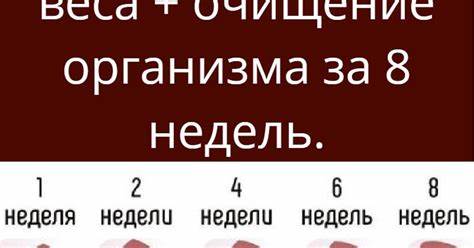 Быстрая диета без возврата