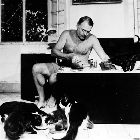 Ernest hemingway, finca vigía, kuba. 26 Interesting Vintage Photos of Ernest Hemingway With His ...