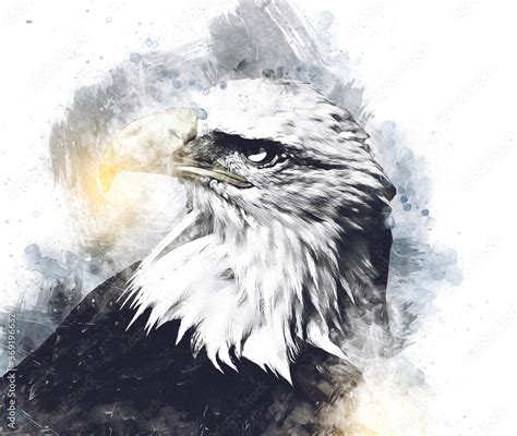 Bald Eagle Swoop Landing Hand Draw And Paint On White Background