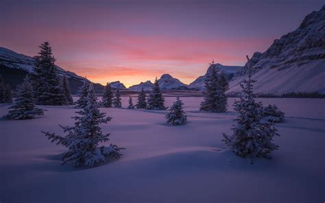Canadá Parque Nacional De Banff Bosque Valle Nieve Invierno
