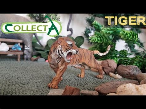 Unboxing And Review Collecta Tiger Youtube