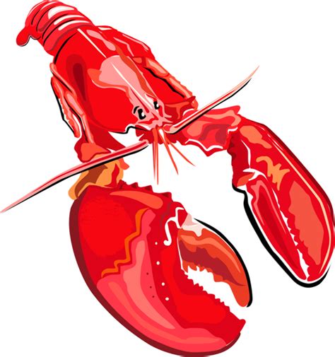 Download High Quality Lobster Clipart Graphic Transparent Png Images