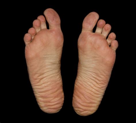 1694x1540 Chicken Feet Foot Fun Funny Little Soles Toes