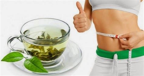 This is a very effective way of using honey for weight loss. Top 12 Best Green Tea Brands for Weight Loss In India 2019 ...
