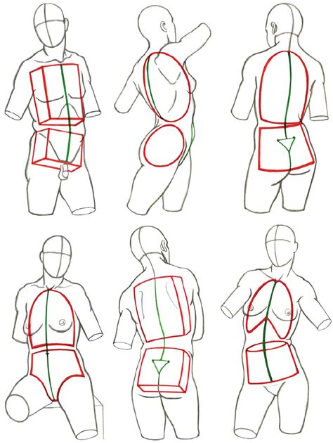 Drawing Female Body Human Anatomy Drawing Human Figure Drawing The