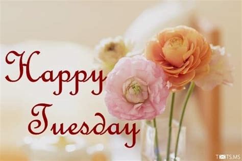 Happy Tuesday Hd Wallpaper Images Photos Pictures 8 
