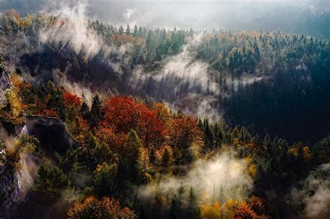 Germany Mountains Fog Autumn Fall Forest Trees Woods Nature