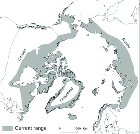 1 Current Distribution Of The Arctic Fox 