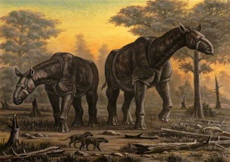 7 Largest Land Mammals Ever