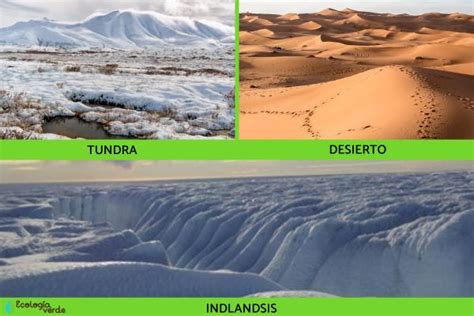 Tipos De Ecosistemas Terrestres Y Ejemplos Caracter Sticas Y Fotos