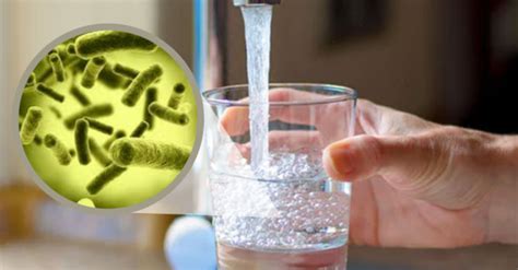 Você Conhece Outras Doenças Transmitidas Por Meio Da água Contaminada