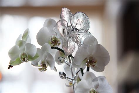 Maybe you would like to learn more about one of these? Waterford Crystal Fleurology Orchid Flower