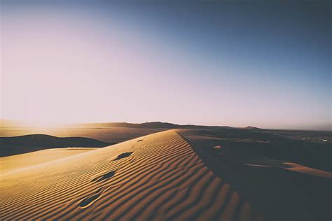 Free Photo Adventure Arid Dawn Daylight Desert Dry Dune Hippopx