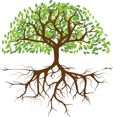 Tree Png Graphic Clipart Design 19607536 PNG