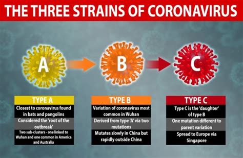 Coronavirus How Many Strains Of Covid 19 Have Been Discovered So Far