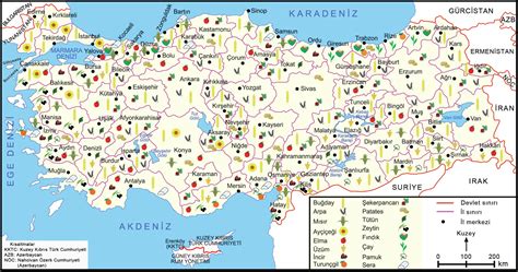 Kendi istatistiklerinizle turkiye haritasını renklendirin. Tarımsal faaliyetlerin ülkemiz ekonomisindeki yeri ve ...