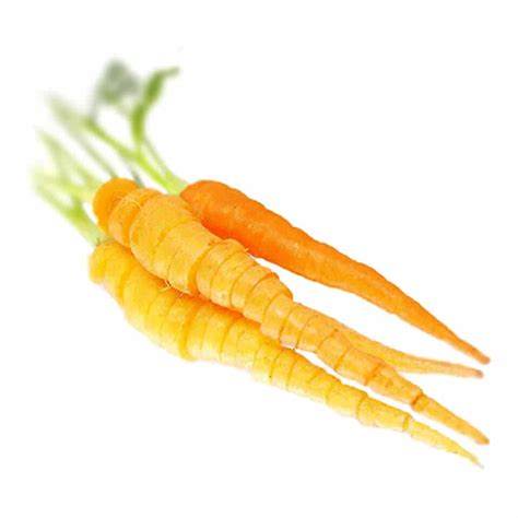 Baby Carrots Orange Nurtured In Norfolk