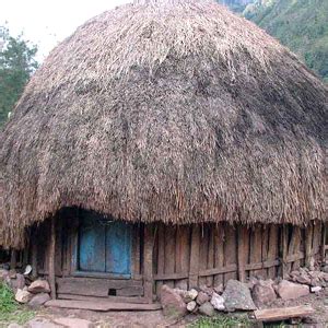 Bukan saja terkenal dengan keberagamannya yang kental dan rangkaian sejarah yang menakjubkan, daerah papua yang dulu bernama irian jaya ini juga punya banyak rumah adat. Contoh Gambar Rumah Adat - Aneka Contoh