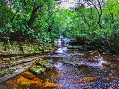 Hidden Place In Sri Lanka Places To Visit Most Beautiful Places