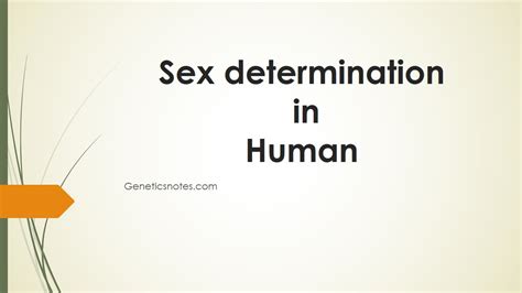 Sex Determination In Human And Role Of Various Genes Online Biology Notes