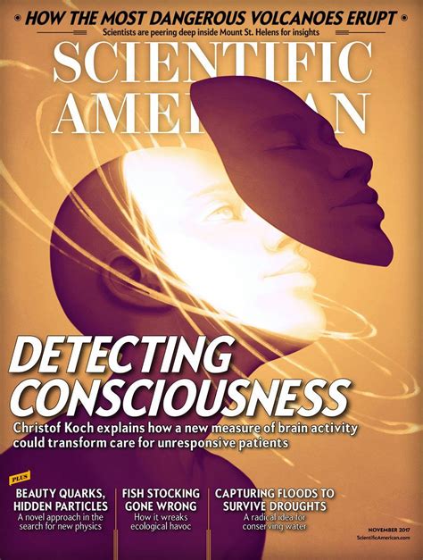 Scientific American Volume 317 Issue 5 Scientific American Magazine