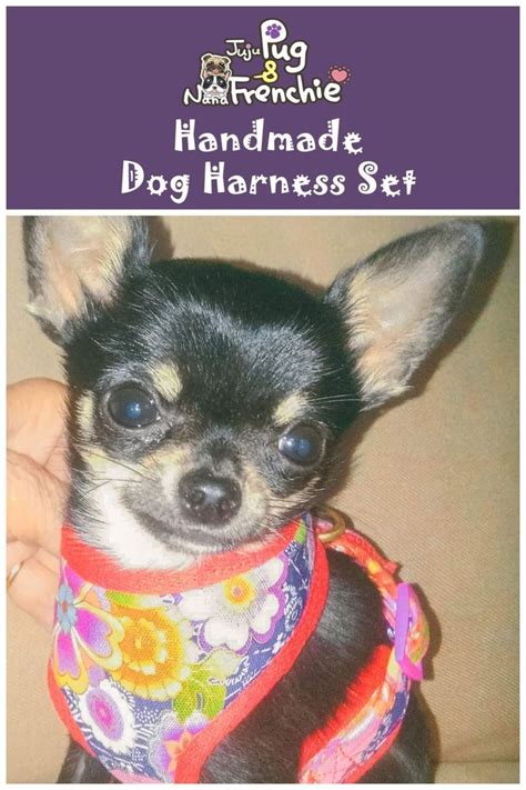 However, harnesses are considered to be much more safe in wearing for too much active and disobedient dogs. Pink Red Floral dog harness, French bulldog harness, Girl ...