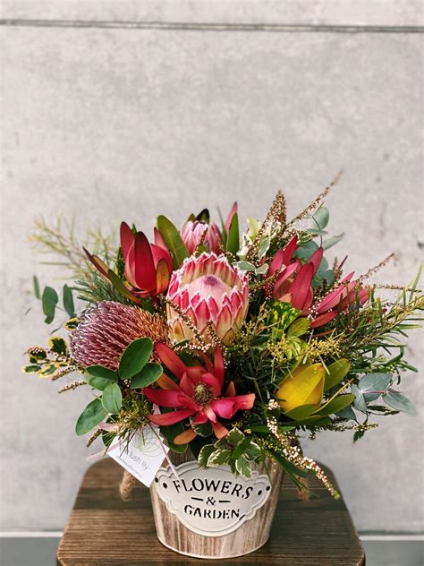 Noah The Lush Lily Brisbane And Gold Coast Florist Flower Delivery