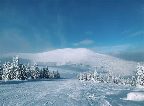 Exploring the Seasons Through Photography: Tips to Capture and Embrace