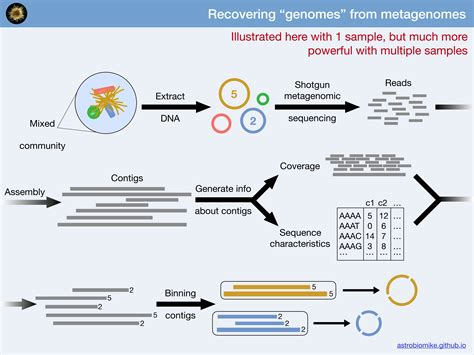 Amplicon And Metagenomics Overview
