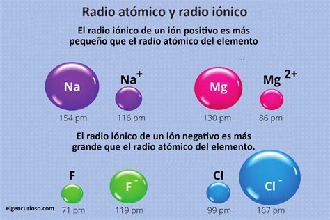 Radio Atómico Y Radio Iónico El Gen Curioso
