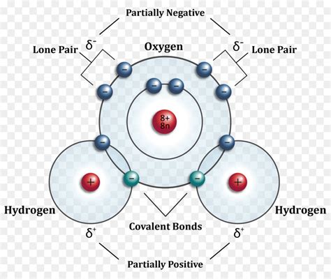 átomo água Molécula Png Transparente Grátis