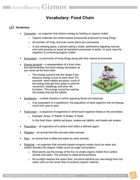 Preschool worksheets help your little one develop early learning skills. Food Chain Vocabulary - Monday, May 27, 2019 | Ecological ...