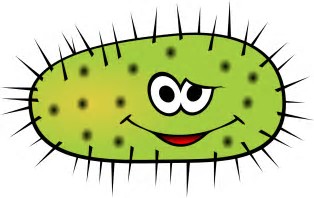Image result for free pics of bacteria