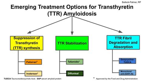 New Treatment Options For Transthyretin Cardiac Amyloidosis What Do I