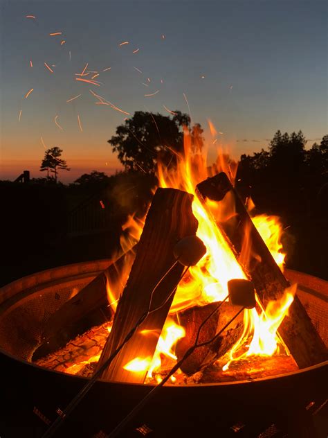 Lighted Bonfire Photography · Free Stock Photo