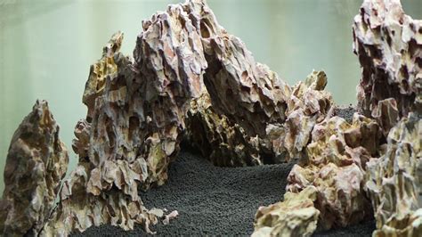 Seiryu Stone For Aquascaping And Decoration Practical Guide