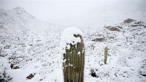 Tucson Snow To Give Way To Warmer Weather Clearer Skies Through