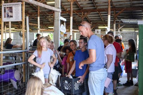 Explore over 350 million pieces of art while connecting to fellow artists and art enthusiasts. Preparing for Lucas County Fair - The Blade