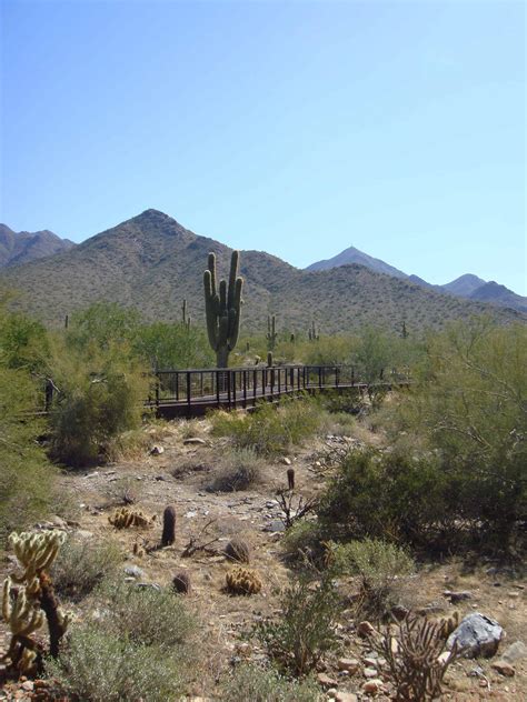 Things To Do In Scottsdale Az Take A Hike In The Mcdowell Sonoran