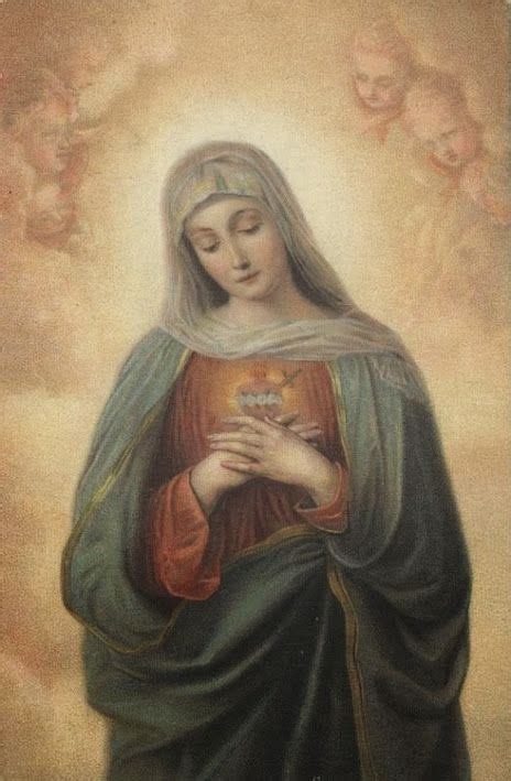 Sacred Heart Of Mary Santa Maria Madonna Religious Pictures Jesus
