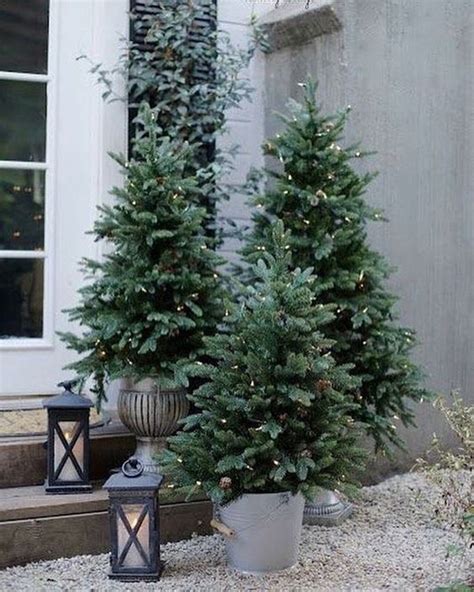 Natural Multiple Christmas Tree In Your Patio Homemydesign