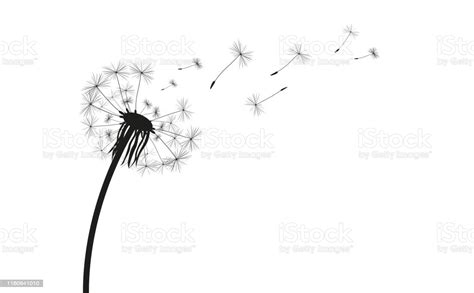 Download Dandelion Silhouette Stock Illustration - Download Image ...