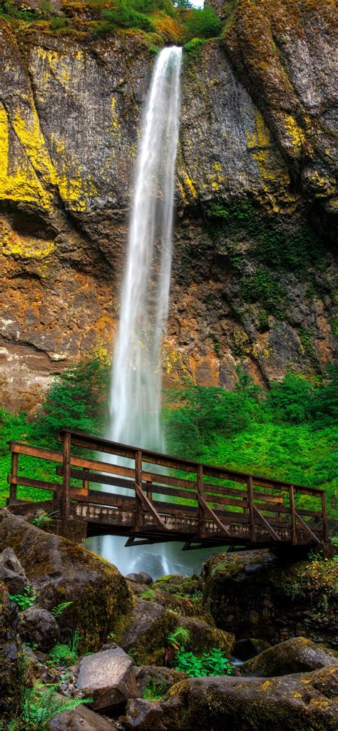 Wallpaper Elowah Falls Waterfall Bridge Rocks Moss Oregon Usa