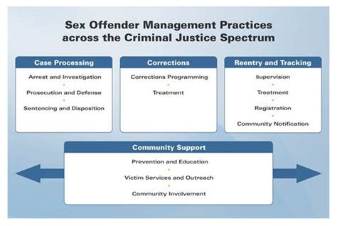Defining Sex Offender Risk Management Practices In Tennessee