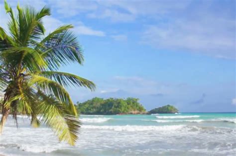 Zoom together this holiday season! STYLECASTER | best zoom backgrounds in 2020 | Hipster background, Tropical background, Background