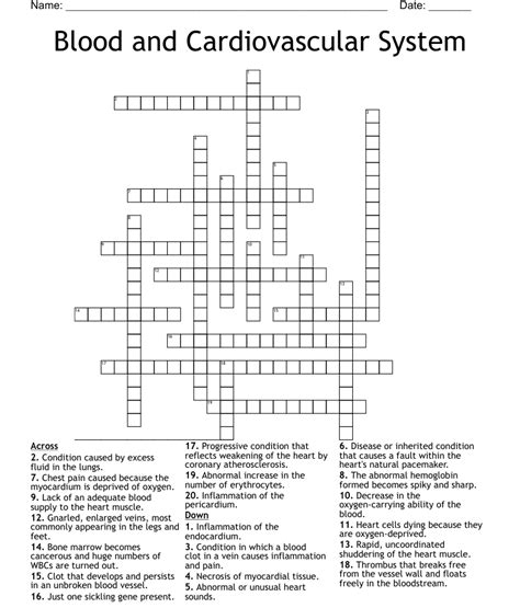 Blood And Cardiovascular System Crossword Wordmint