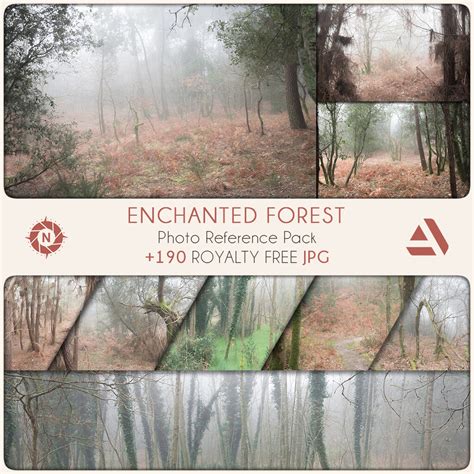 Artstation Photo Reference Pack Enchanted Forest Resources